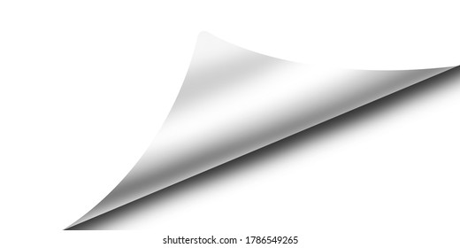 Page Curl Shadow On Blank Sheet Stock Vector (Royalty Free) 256578904 ...