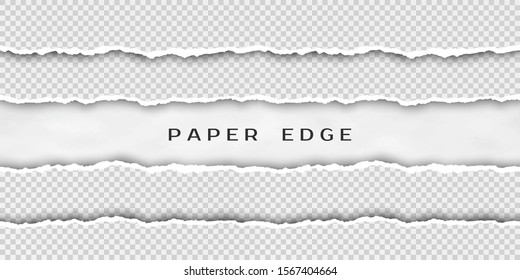 Paper Tear Border. Set Of Torn Horizontal Seamless Paper Stripes. Paper Texture With Damaged Edge. Illustration