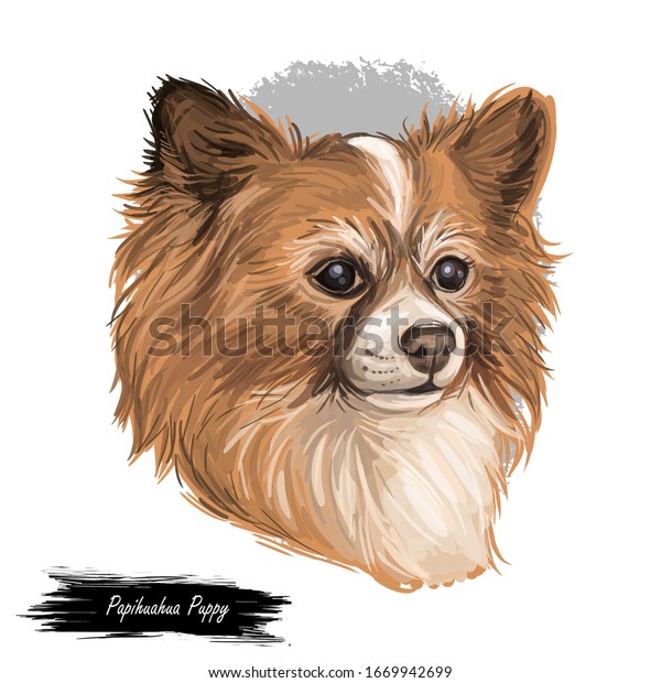 白い背景にパピワワワワンピーのデジタルアートイラスト かわいい犬の犬の動物 ペットショップ のエンブレム Tシャツのプリントデザイン 知恩 パピワ パップチ チアパップ パピヨンとチワワの異種 のイラスト素材