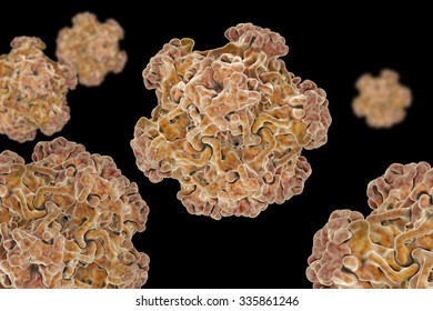 Papillomavirus Is One Of The Most Common Infections Transmitted From Person To Person. Structure Of Small Virus Like Particles Assembled From The L1 Protein Of Human Papillomavirus PDB 1DZl.