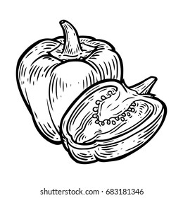 Paprika Pepper Chilly Spice Hand Drawn Stock Illustration 683181346 ...