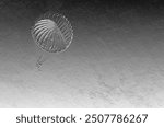 PARACHUTE JAMP - Jump of a soldier of airborne troops