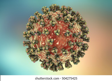 192 Parainfluenza virus Images, Stock Photos & Vectors | Shutterstock