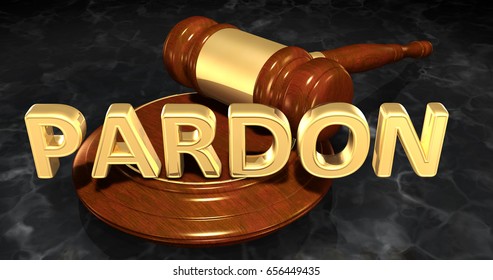 Pardon Law Concept 3D Illustration
