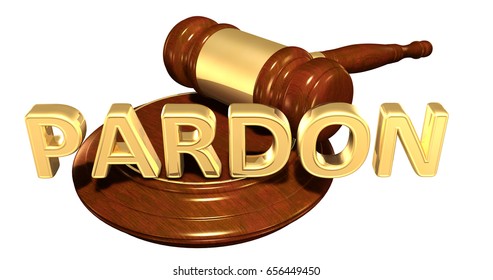 Pardon Law Concept 3D Illustration
