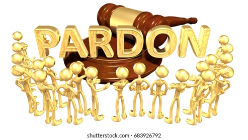 Pardon Law Gavel Concept 3D Illustration