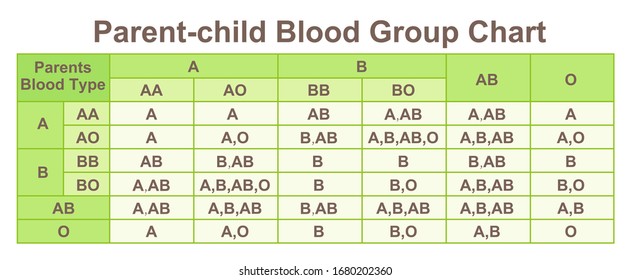 Parentchild Blood Group Blood Type Chart Stock Illustration