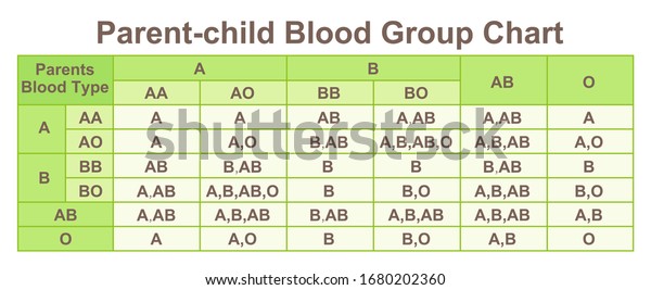 Parentchild Blood Group Blood Type Chart Stock Illustration