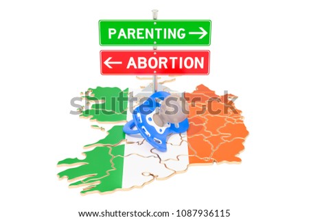 Parenting or aborting road signpost, referendum in Ireland. 3D rendering isolated on white background 
