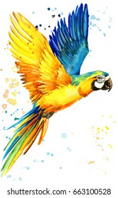 Papageienvogelfarben-Illustration