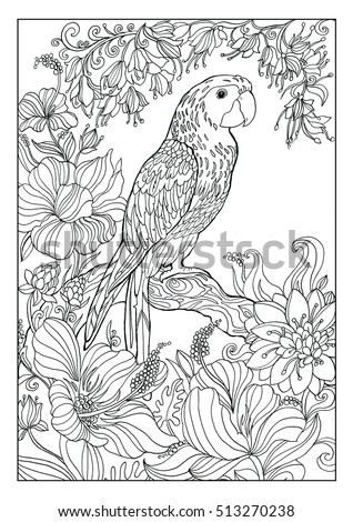 Download Parrot Coloring Pages Adults Stock Illustration 513270238 ...