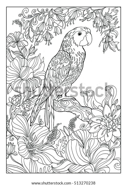 Parrot Coloring Pages Adults」のイラスト素材 513270238