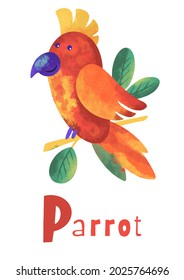 Parrot For Letter P. Hand Drawn Disibal Illustration Of Bird And Alphabet