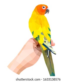 
A parrot on the back of his hand