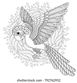 Parrot Tropical Bird Coloring Book Adult Stock Illustration 792762952