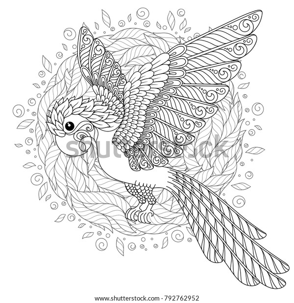 Download Parrot Tropical Bird Coloring Book Adult 库存插图 792762952