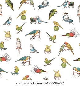 Parrots birds pets seamless pattern.