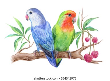 Lovebird Watercolor Images, Stock Photos & Vectors | Shutterstock