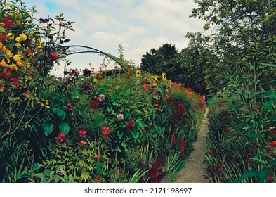 Part Of Monet Garden In France; It's Bright, Cheery, Full Of Color, And Has Great Natural Lighting. The Image Was Edited To Look Like A Painting.