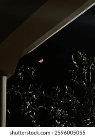 A partial view of a crescent moon peeks through the dark silhouettes a building. The image captures a moment of the moon's presence in a residential setting creating a sense of quiet observation.