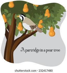 A Partridge In A Pear Tree 