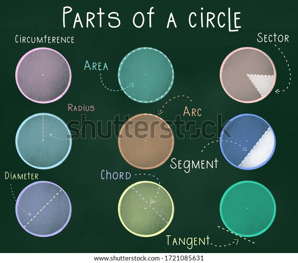 Parts Circle On Chalkboard Kid Learning Stock Illustration 1721085631 ...