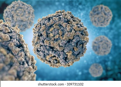 Parvovirus B19. Structure Of Human Parvovirus B19. B19 Virus (PDB 1S58) Causes A Childhood Rash Called Fifth Disease Or Erythema Infectiosum Which Is Commonly Called Slapped Cheek Syndrome.