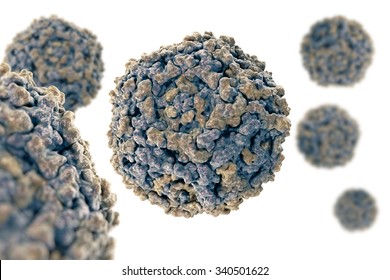 Parvovirus B19. Structure Of Human Parvovirus B19. B19 Virus (PDB 1S58) Causes A Childhood Rash Called Fifth Disease Or Erythema Infectiosum Which Is Commonly Called Slapped Cheek Syndrome.