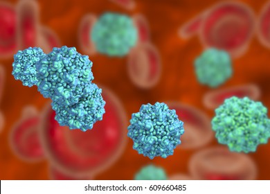 Parvoviruses In Blood, Viruses Which Causes Anemia, A Childhood Rash Called Fifth Disease Or Erythema Infectiosum, 3D Illustration