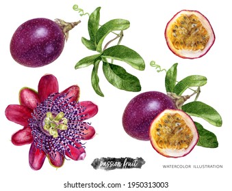 Passion Fruit With Leaves And Flower Watercolor Illustration Isolated On White Background