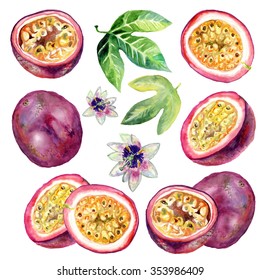 Passion Fruit Watercolor Illustration