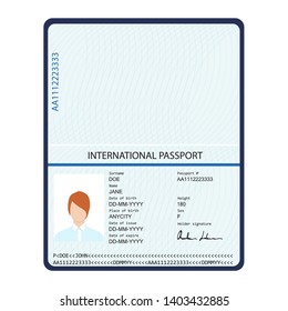 Passport Biometric Data Identification Document International Stock ...