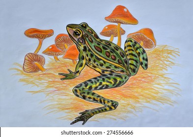 Frog Mushroom Images Stock Photos Vectors Shutterstock