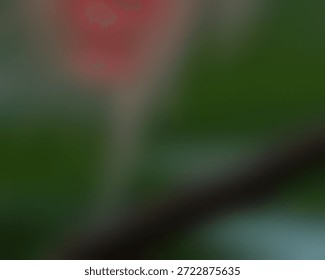 Pastel Gradient with Soft Grain Effect, Warm Sunset Grainy Gradient in 4K