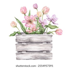 Pastel multi-colored bud bouquet Tulips in wooden box watercolor illustration isolated on background. Hand drawn delicate perennial bulbous pink yellow purple flower for spring wedding design or card. - Powered by Shutterstock