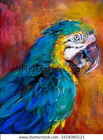 pastel portrait painting. Parrot painting.  Modern art.