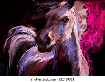 Pastel portrait of a white horse on a cardboard. Modern art
