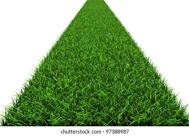 Path From A Grass