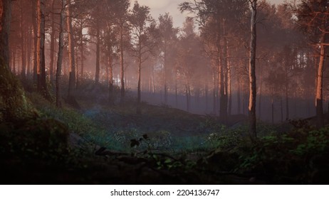 Path Through Dark Magical Forest At Sunrise, Beautiful Old Trees Fantasy Landscape High Quality 3d Illustration