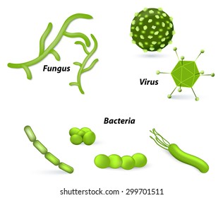 el parasito es una bacteria