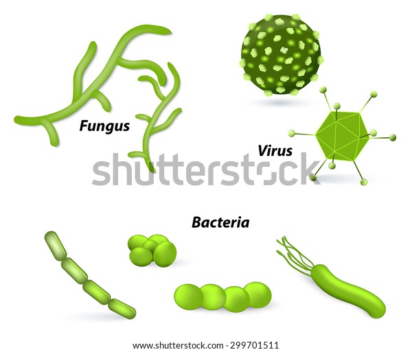 Pathogen Microbes Virus Bacteria Fungi: Ilustración De Stock 299701511 ...