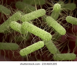 Pathogenic Salmonella bacteria background. 3d illustration