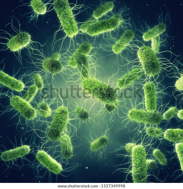 Pathogenic Salmonella Bacteria,\
Microbiological research, 3d\
illustration