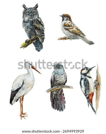 Pattern with bird. Hand drawn illustration mix media: watercolor, oil pastel, color pensil