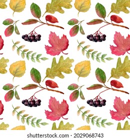 A pattern of chokeberry and autumn leaves. The image is hand-drawn and isolated on a white background. Watercolour.