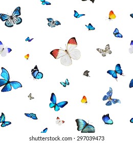 1,620 Patterns Mariposas Images, Stock Photos & Vectors | Shutterstock