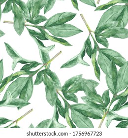 Pattern Juicy Green Leaves Peonies Watercolor Painting. Elements Go On Each Other.