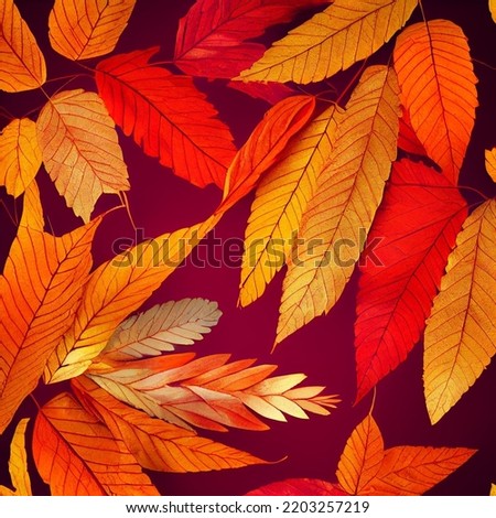 Similar – Image, Stock Photo Bright orange red autumn foliage pattern
