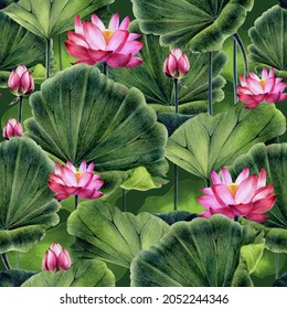 Pattern pink lotus  Image water pink lily  Hand drawing and colored pencils   watercolors 