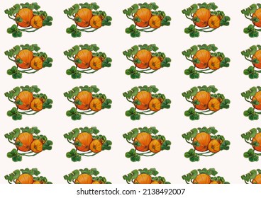 pattern pumpkin background traditional art colored pencil